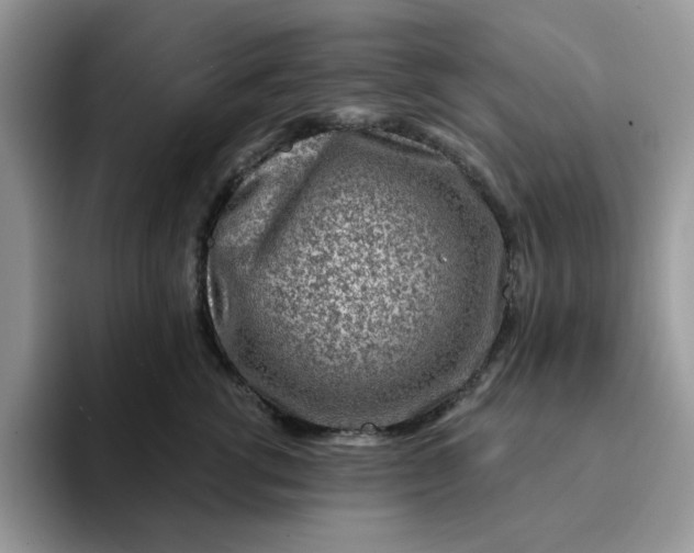 X0000093210762200710171341