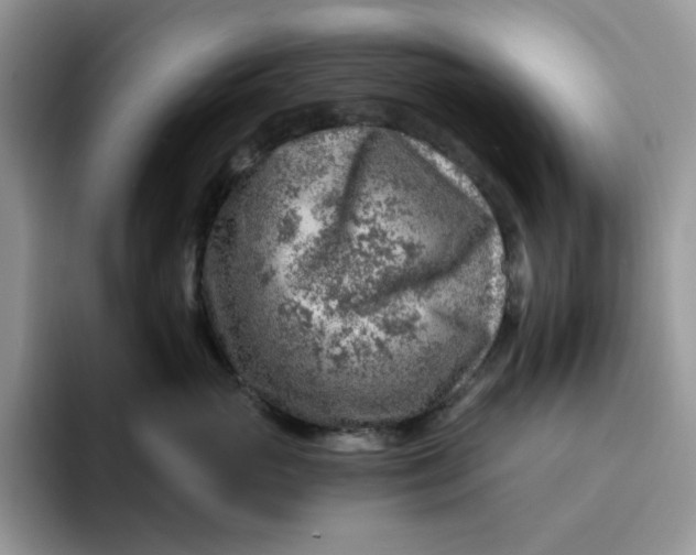 X0000093210765200710171341