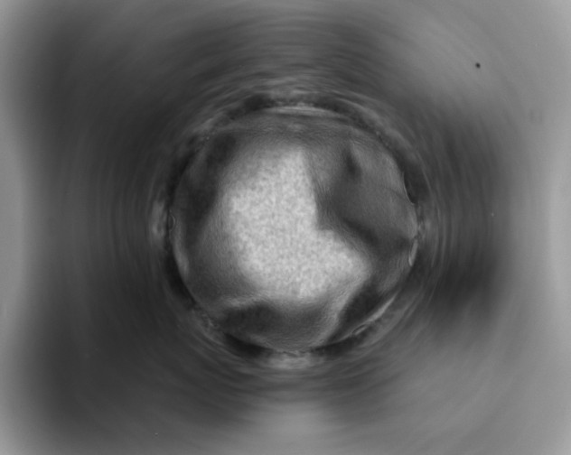 X0000093210767200710171341