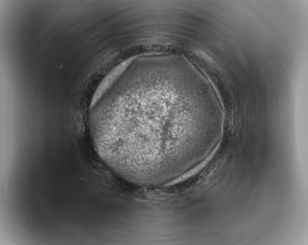 X0000093210774200710171340