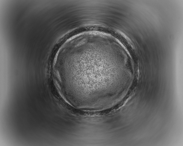 X0000093210775200710171340