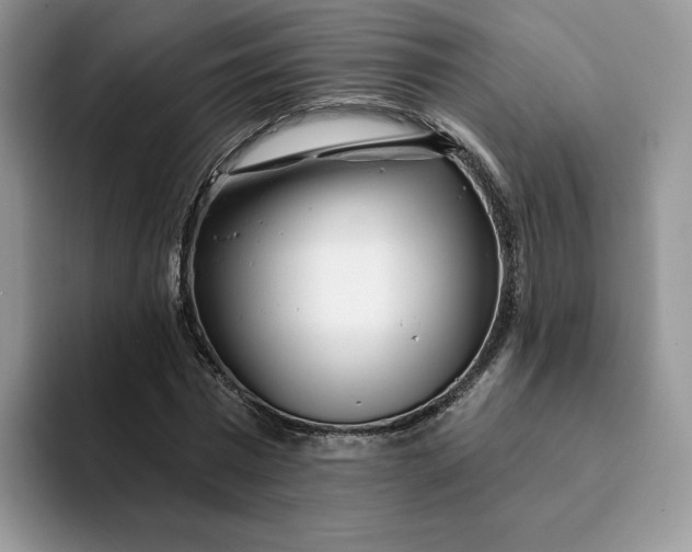 X0000093210777200710171340