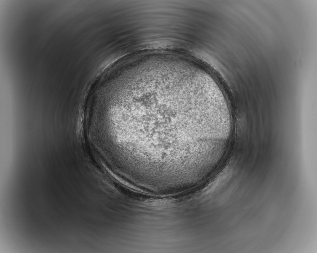 X0000093210778200710171340