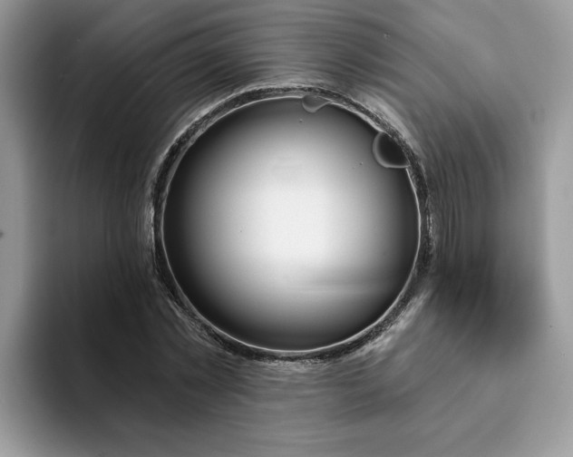 X0000093210781200710171340