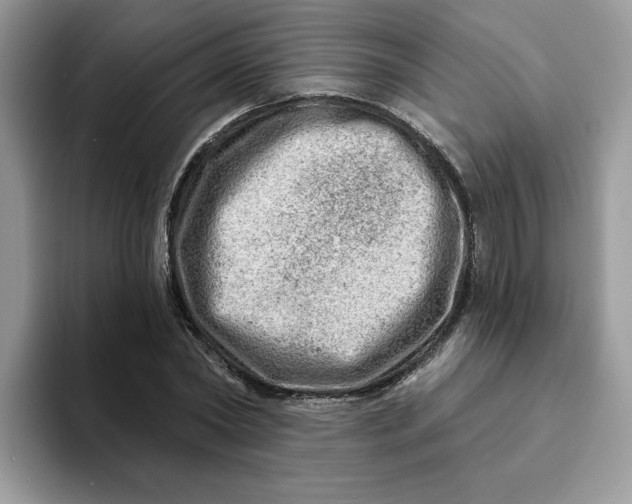 X0000093210782200710171340