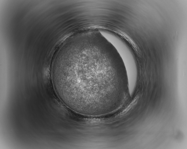 X0000093210785200710171340