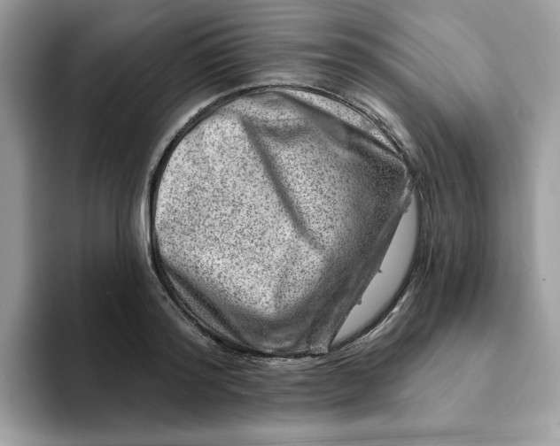 X0000093210796200710171340