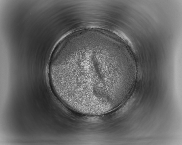 X0000093210798200710171340