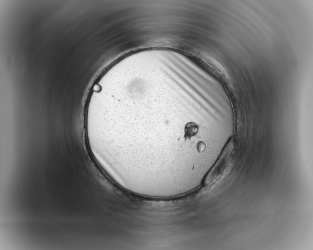 X0000093210800200710171340