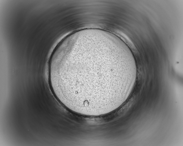 X0000093210804200710171340