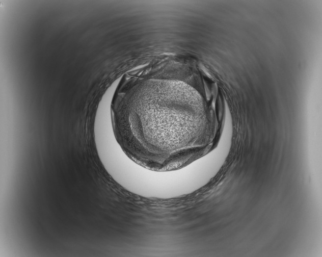 X0000093210818200710171339