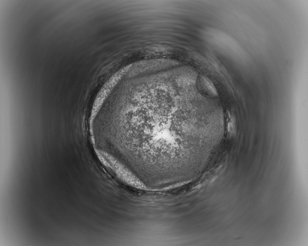 X0000093210819200710171339