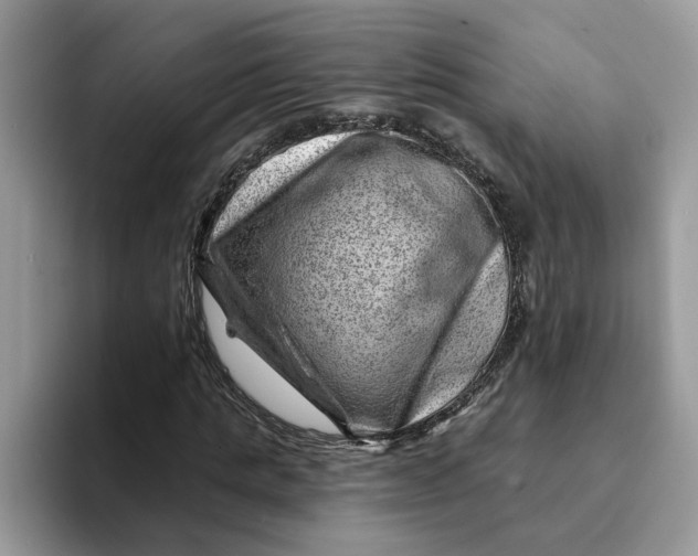 X0000093210821200710171339