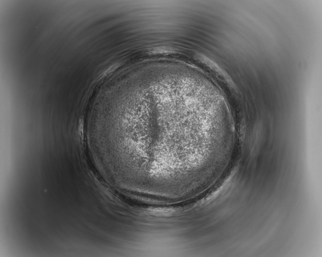 X0000093210825200710171339