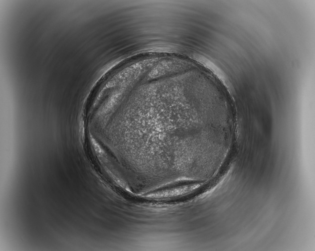 X0000093210829200710171339