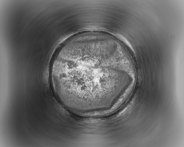 X0000093210831200710171339