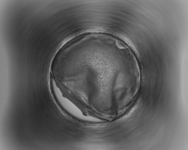 X0000093210845200710171340