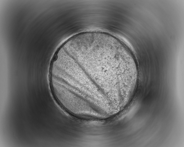 X0000093210847200710171340