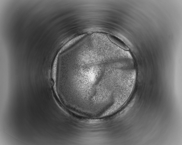 X0000093210849200710171340