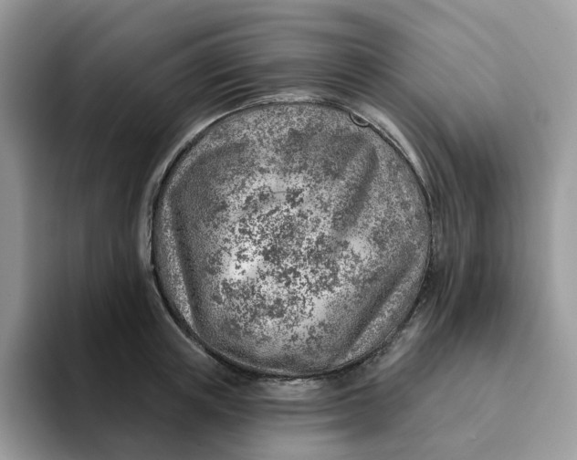 X0000093210851200710171340