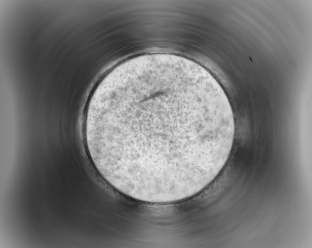 X0000093210856200710171340