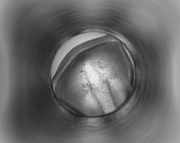 X0000093210857200710171340