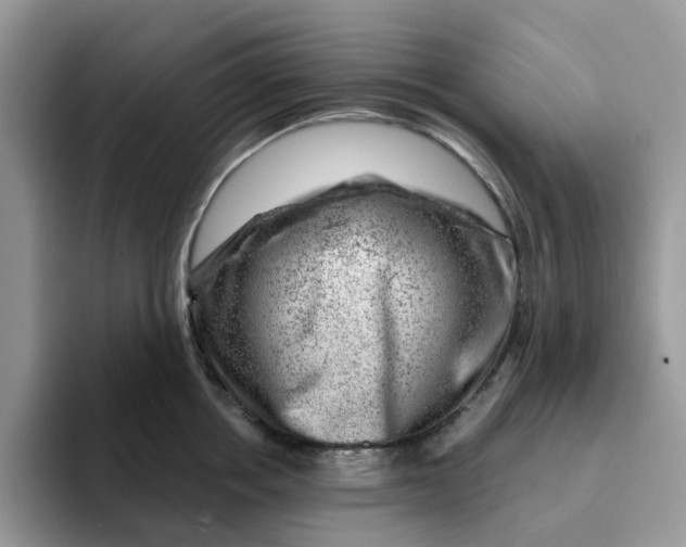 X0000093210858200710171340