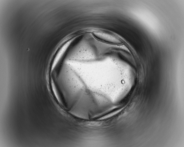 X0000093210861200710171340