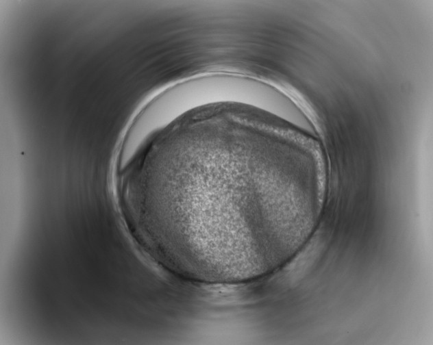 X0000093210862200710171340