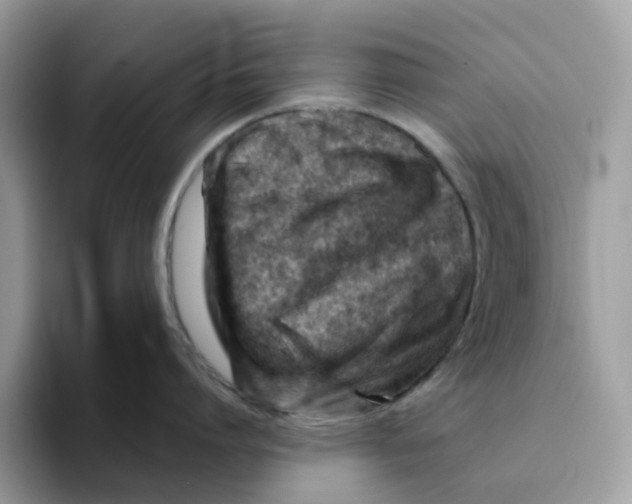 X0000093210864200710171340