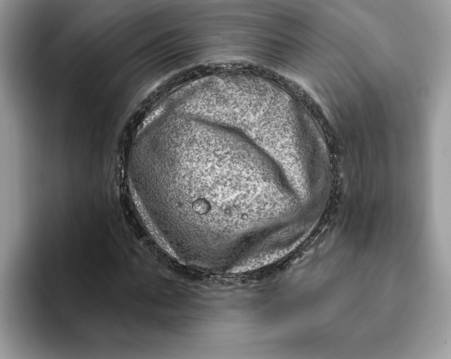 X0000093210871200710171339