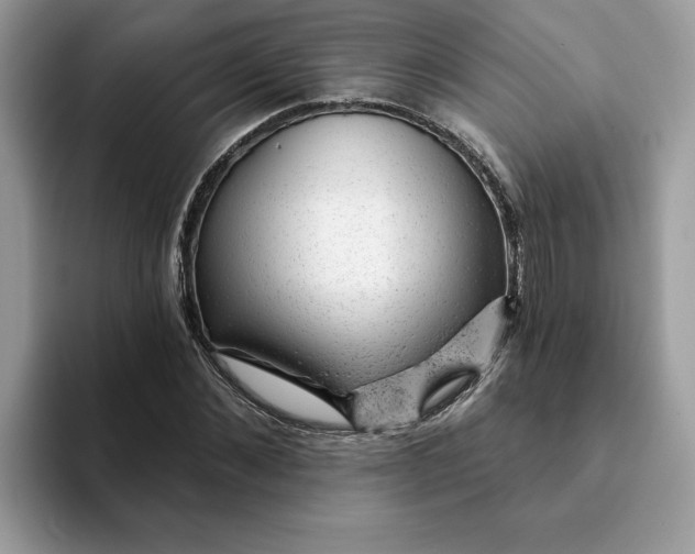 X0000093210876200710171339