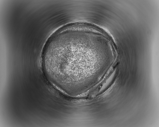 X0000093210879200710171339