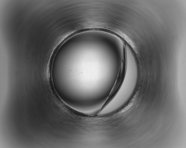 X0000093210885200710171339