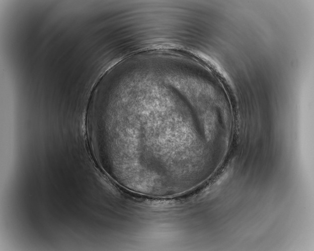 X0000093210889200710171339