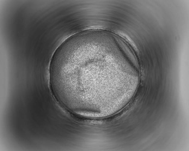 X0000093210890200710171339