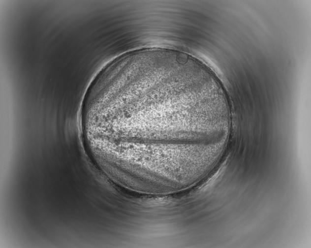 X0000093210891200710171339