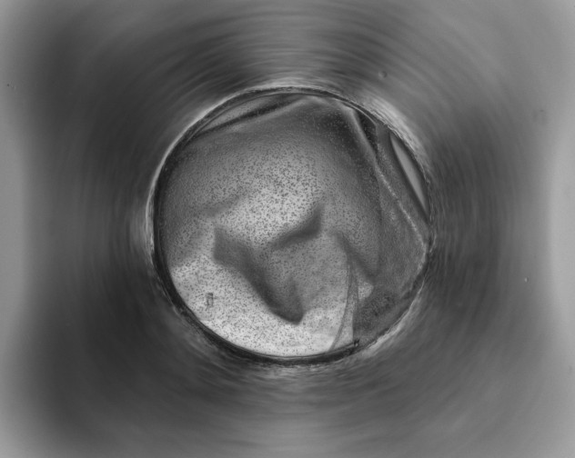 X0000093210892200710171339