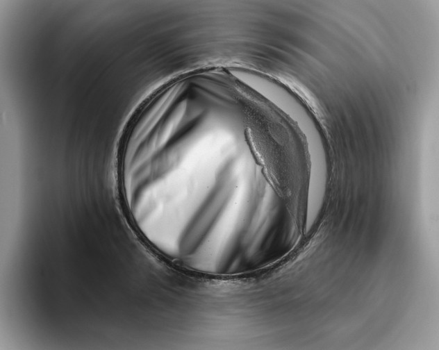 X0000093210894200710171339