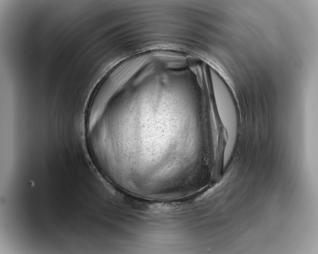 X0000093210898200710171339