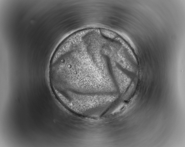 X0000093210903200710171339