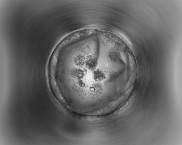 X0000093210907200710171339