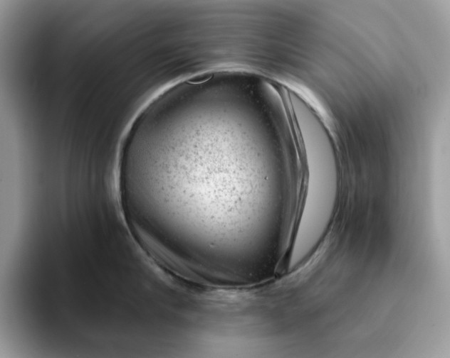 X0000093210910200710171339