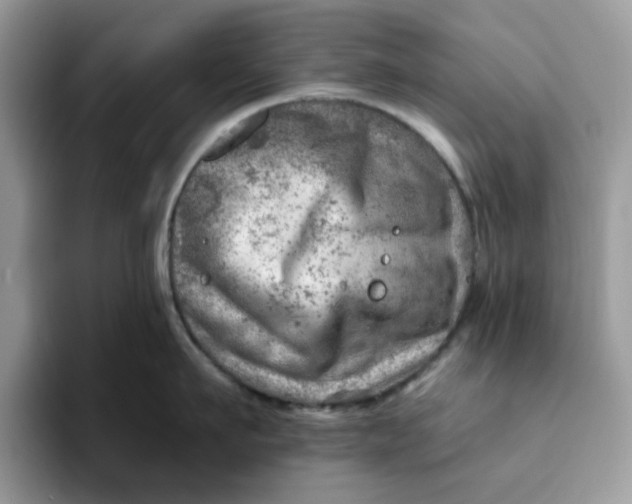 X0000093210911200710171339