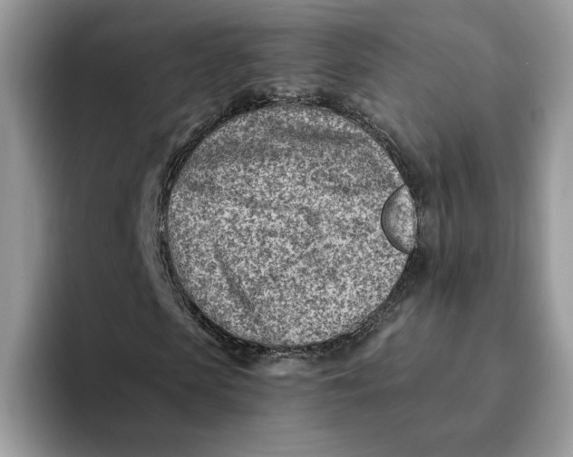 X0000093210913200710171338