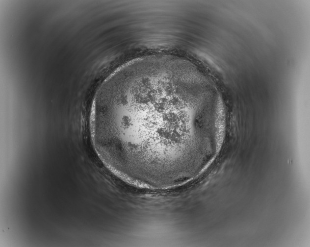 X0000093210917200710171338