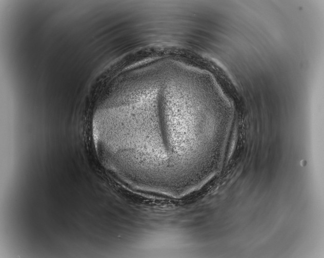 X0000093210919200710171338