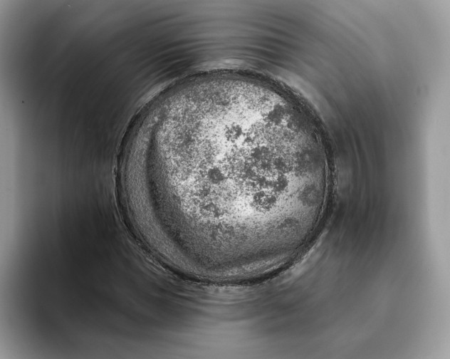 X0000093210921200710171338