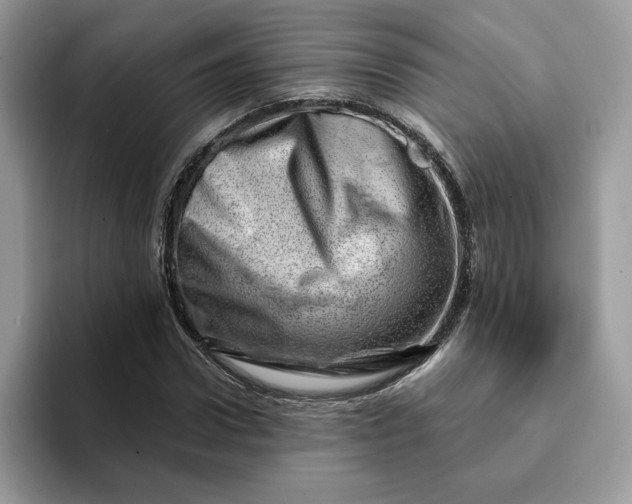 X0000093210922200710171338