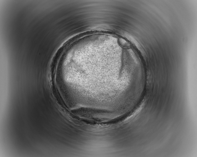 X0000093210923200710171338